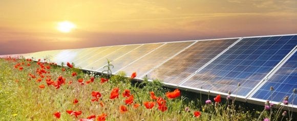 Solar-panels-with-garden